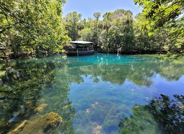 florida/homosassa-springs-wildlife-state-park/landmark/ellie-schiller-homosassa-springs-wildlife-state-park