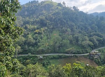 sri-lanka/uva-province/landmark/little-adam-s-peak-trailhead