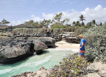 barbados/saint-philip/landmark/shark-hole
