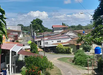 La palma de las tablas
