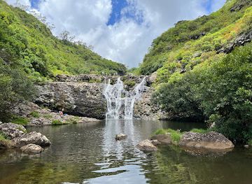mauritius/black-river/landmark/yanature