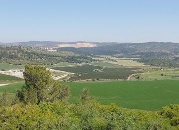 israel/jezreel-valley/landmark/valley-of-elah-terebinths