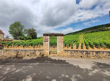 france/burgundy-vineyards/landmark/castle-of-santenay
