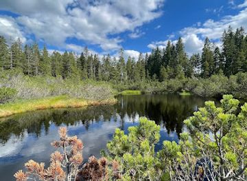 czechia/sumava/landmark/trijezerni-slat