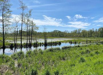 germany/spreewald/landmark/sauenmoor