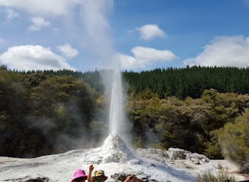 new-zealand/rotorua/landmark/lady-knox-geyser