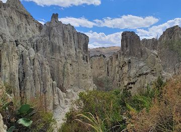 bolivia/yungas-road/landmark/the-witches-market