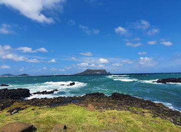 south-korea/jeju-island/landmark/aqua-planet-jeju