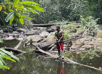 guyana/upper-takutu-upper-essequibo/landmark/the-wild-tales
