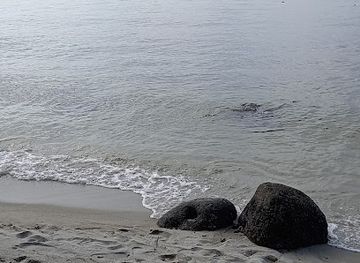 singapore/punggol/landmark/punggol-beach