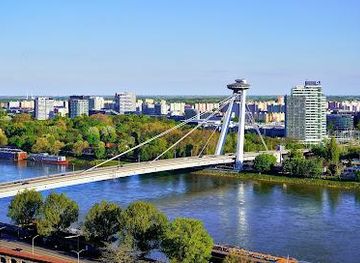 slovakia/bratislava/landmark/most-snp