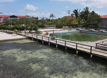 honduras/utila/landmark/reef-bar