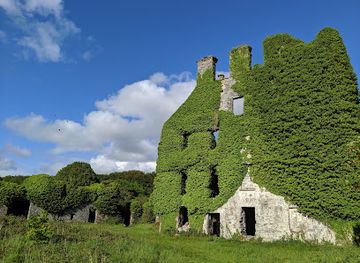 ireland/galway/landmark/menlo-castle