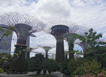 singapore/east-region/landmark/supertree-grove-viewpoint