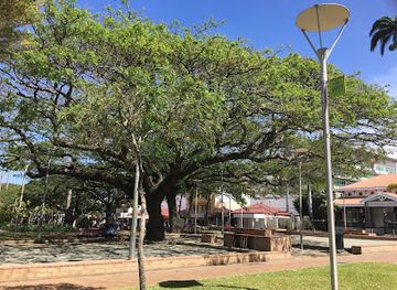 new-caledonia/canala/landmark/le-pandanus