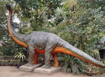 india/kaziranga-national-park/landmark/kaziranga-orchid-park-culture-program