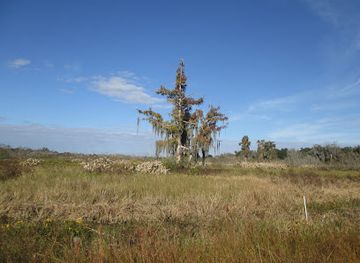 florida/big-bend/landmark/lake-hancock