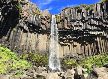 iceland/skaftafell/landmark/svartifoss