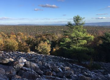 pennsylvania/appalachian-mountains/landmark/rothrock-state-forest