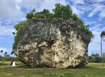Tsunami Rock