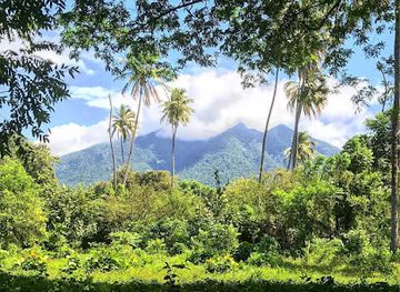 nicaragua/ometepe-island/landmark/ometepe-real-estate
