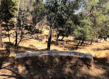 jordan/dibeen-forest/landmark/the-new-national-park-debbin