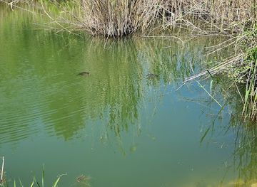 greece/chalkidiki/landmark/mavrobara-turtle-lake