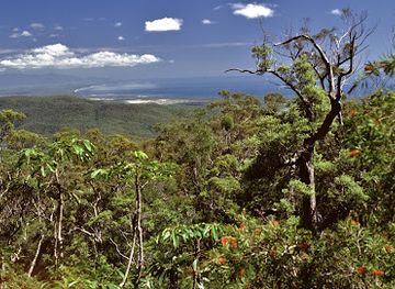 australia/hinchinbrook-island/landmark/mcclellands-lookout