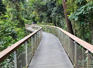 singapore/macritchie-reservoir/landmark/windsor-nature-park