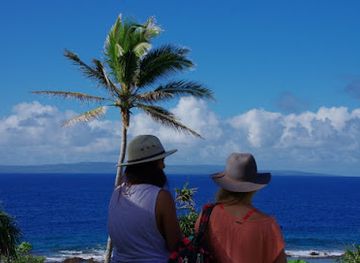 tonga/lifuka/landmark/teta-tours