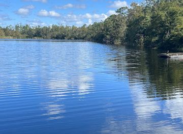 florida/nature-coast/landmark/six-mile-cypress-slough-preserve