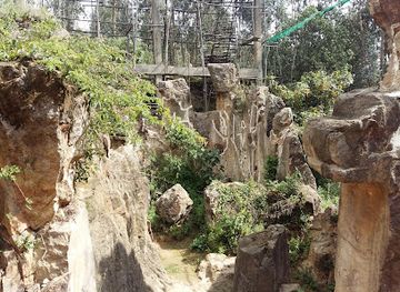 ethiopia/debre-libanos-monastery/landmark/washa-mikael-rock-hewn-church