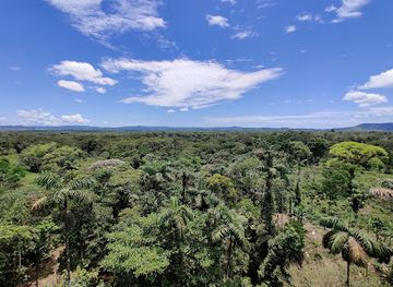 ecuador/amazon/landmark/treehouse