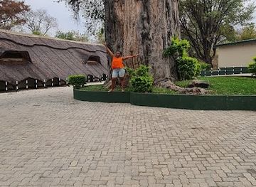 zambia/lake-kariba/landmark/tamarind-lodge