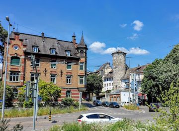 switzerland/schaffhausen/landmark/heinrich-moser-denkmal