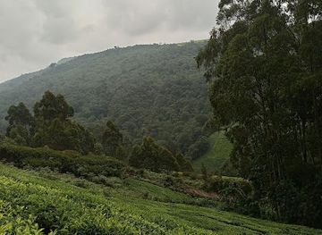 kenya/nyandarua-range/landmark/aberdare-range