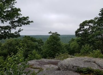 pennsylvania/lower-susquehanna-valley/landmark/natural-lands-bear-creek-preserve