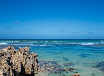 australia/limestone-coast/landmark/bush-adventures