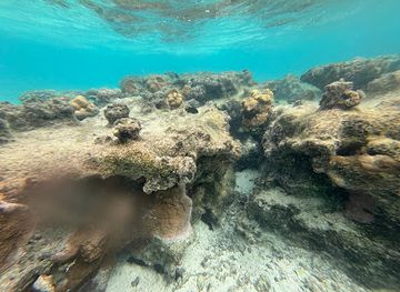 cook-islands/matavera/landmark/aroa-lagoon-marine-reserve