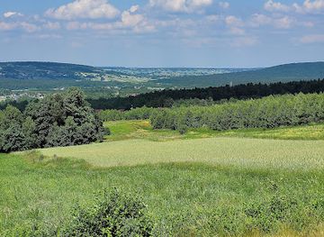 poland/góry-Świętokrzyskie/landmark/lysica