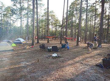 alabama/tuskegee-national-forest/landmark/tuskegee-national-forest-campsite-12
