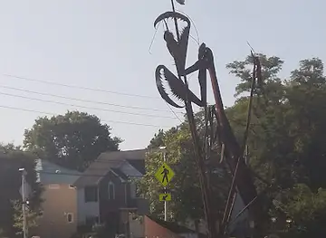 Happy Hollow Park