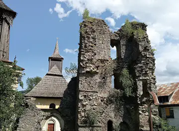 Ruinele Cetății Rodnei