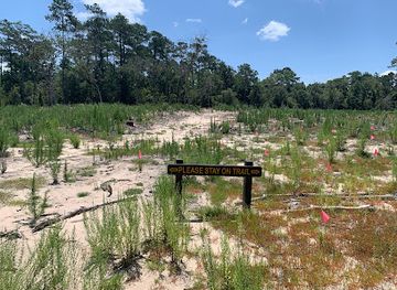 texas/piney-woods/landmark/village-creek-state-park