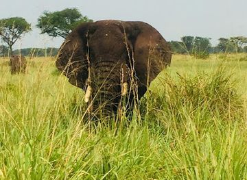 uganda/murchison-falls-national-park/landmark/3-days-murchison-falls-safari-tours