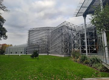 poland/gliwice/landmark/the-municipal-palm-house-gliwice