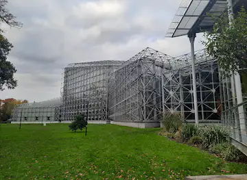 The Municipal Palm House, Gliwice