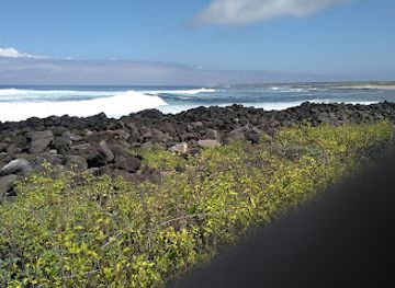 ecuador/galapagos-islands/landmark/playa-loberia