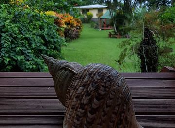 fiji/levuka/landmark/bobo-s-farm