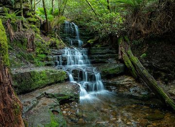 australia/mount-wellington/landmark/myrtle-gully-falls